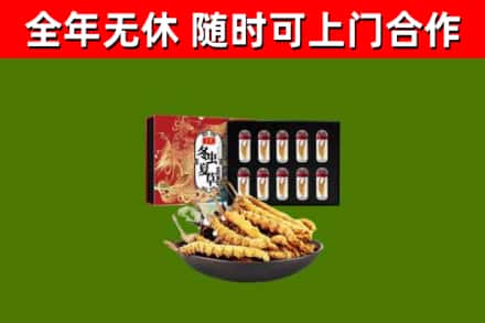 德惠回收冬虫夏草价格